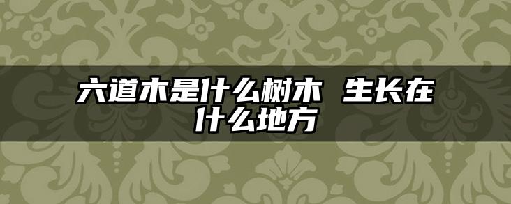 六道木是什么树木 生长在什么地方
