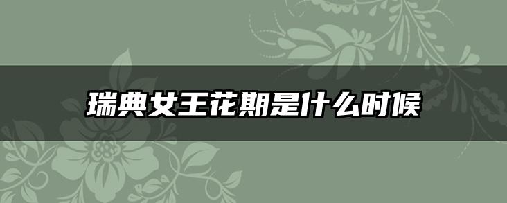 瑞典女王花期是什么时候