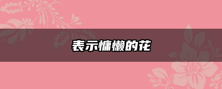 表示慵懒的花