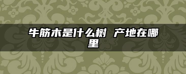 牛筋木是什么树 产地在哪里