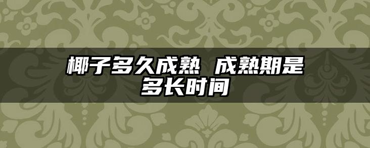 椰子多久成熟 成熟期是多长时间