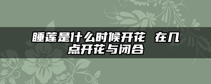 睡莲是什么时候开花 在几点开花与闭合
