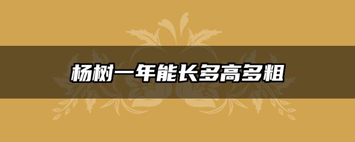 杨树一年能长多高多粗