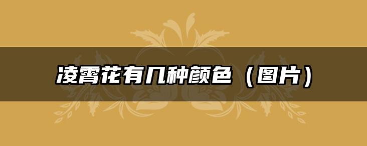 凌霄花有几种颜色(图片)
