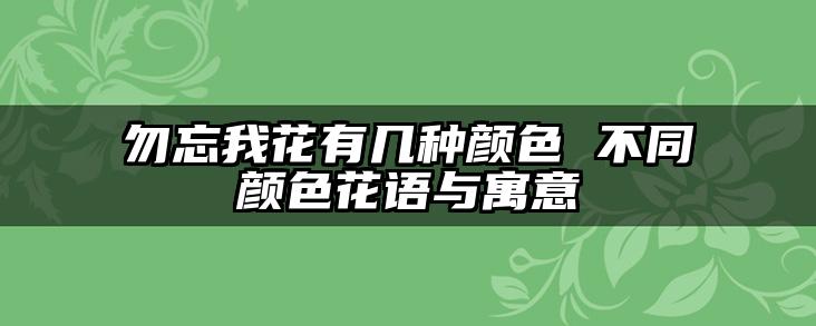 勿忘我花有几种颜色 不同颜色花语与寓意