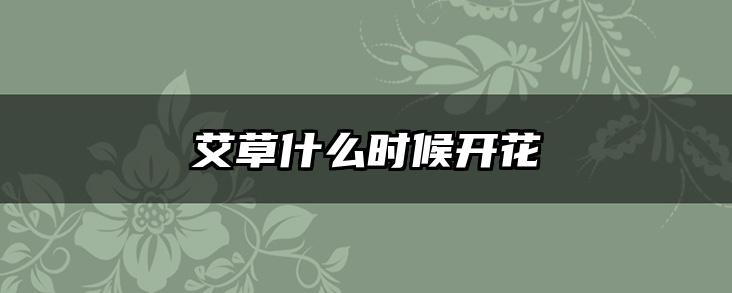 艾草什么时候开花