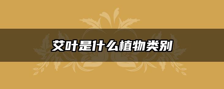 艾叶是什么植物类别