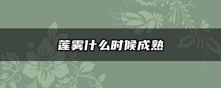 莲雾什么时候成熟