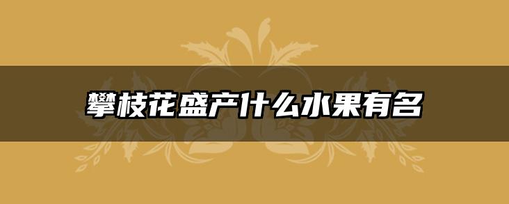 攀枝花盛产什么水果有名