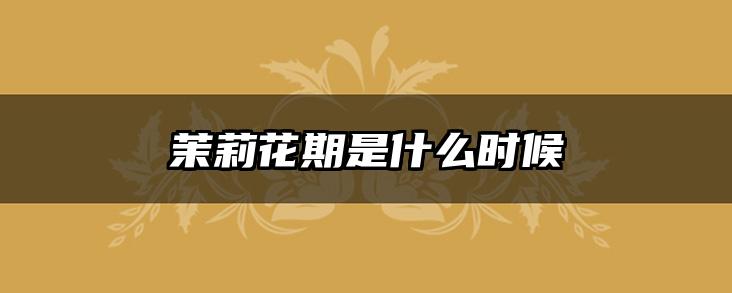 茉莉花期是什么时候