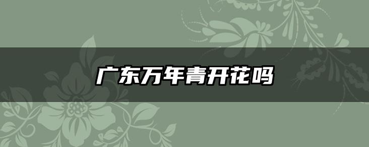 广东万年青开花吗