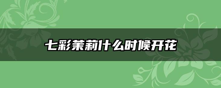 七彩茉莉什么时候开花