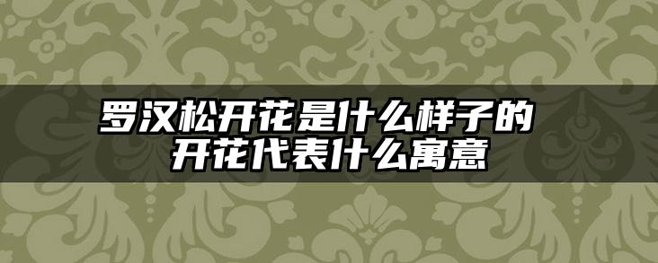 罗汉松开花是什么样子的 开花代表什么寓意