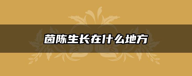 茵陈生长在什么地方