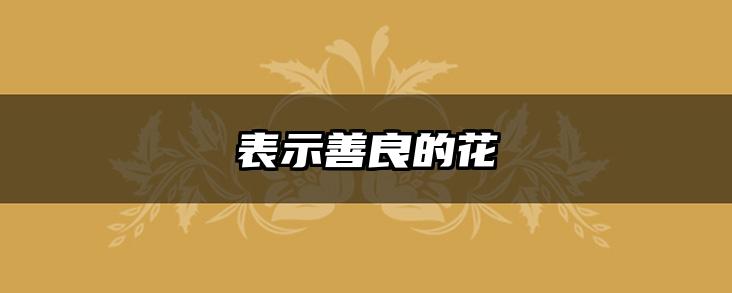 表示善良的花