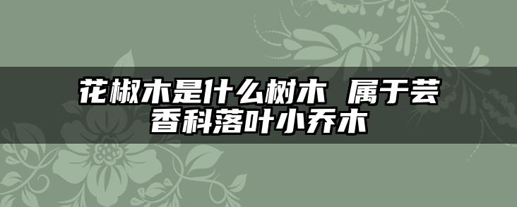 花椒木是什么树木 属于芸香科落叶小乔木