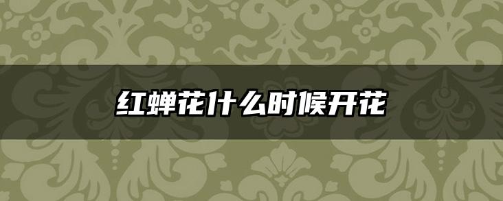 红蝉花什么时候开花