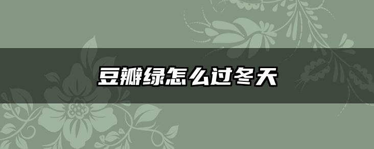 豆瓣绿怎么过冬天