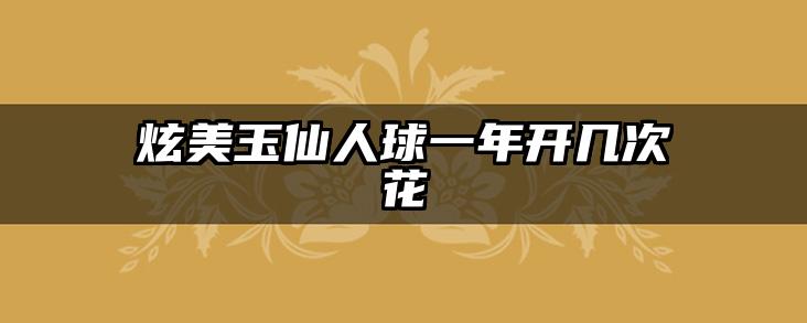 炫美玉仙人球一年开几次花