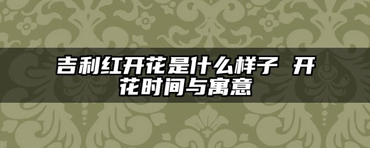 吉利红开花是什么样子 开花时间与寓意