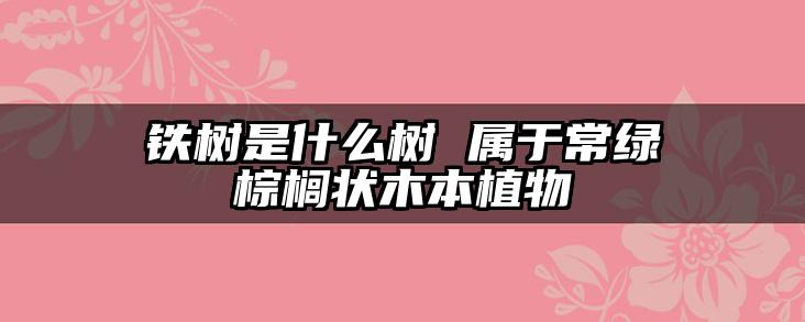 铁树是什么树 属于常绿棕榈状木本植物