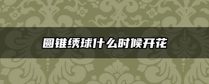 圆锥绣球什么时候开花