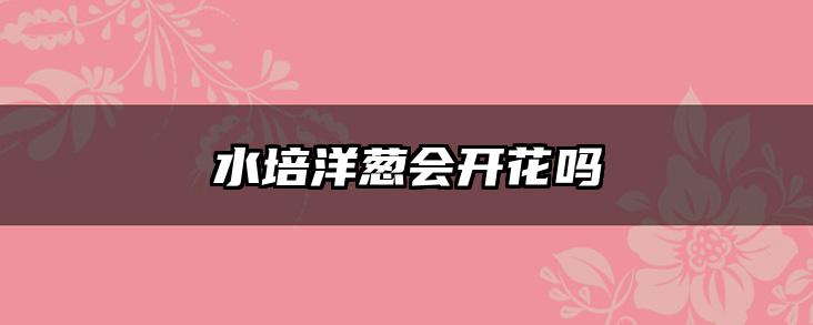 水培洋葱会开花吗