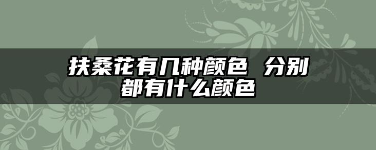 扶桑花有几种颜色 分别都有什么颜色