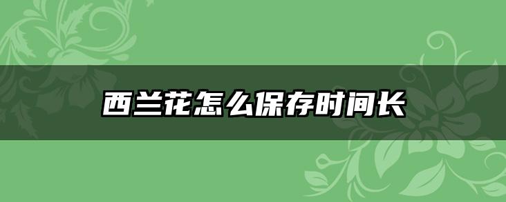 西兰花怎么保存时间长