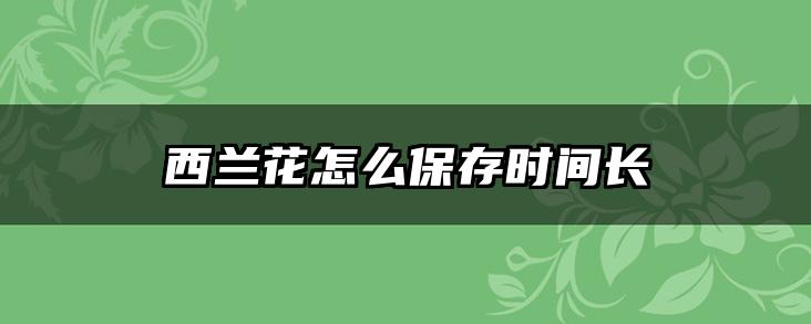 西兰花怎么保存时间长