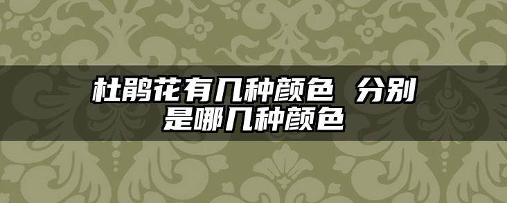 杜鹃花有几种颜色 分别是哪几种颜色