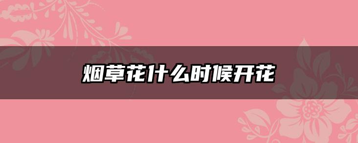 烟草花什么时候开花
