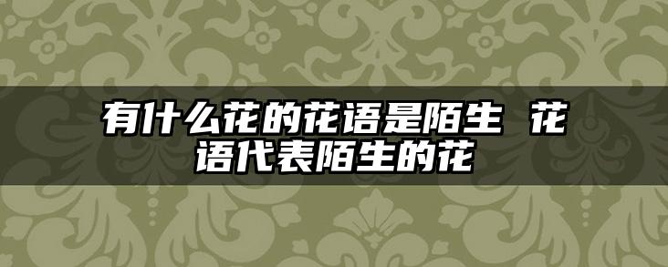 有什么花的花语是陌生 花语代表陌生的花