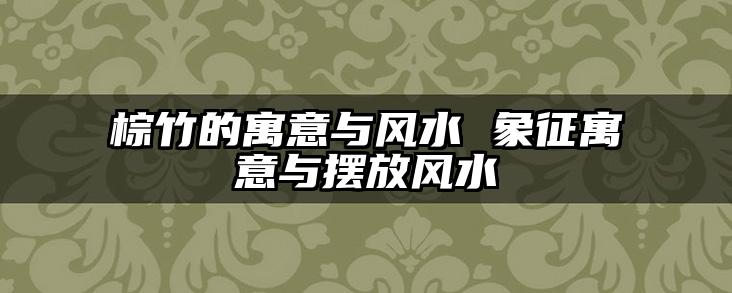 棕竹的寓意与风水 象征寓意与摆放风水
