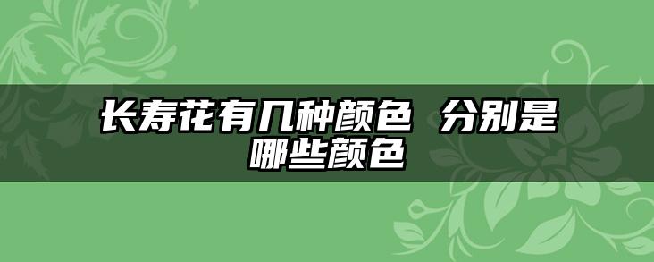 长寿花有几种颜色 分别是哪些颜色