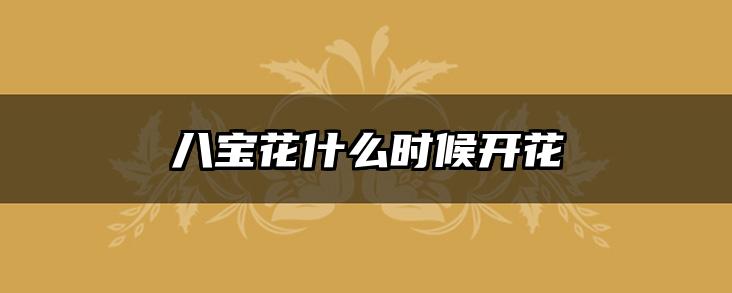 八宝花什么时候开花