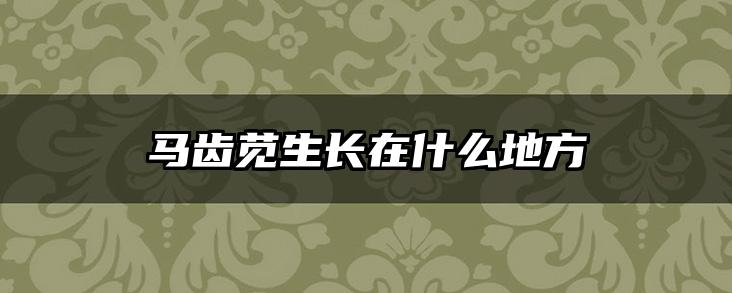 马齿苋生长在什么地方