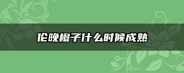 伦晚橙子什么时候成熟