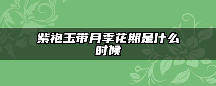 紫袍玉带月季花期是什么时候