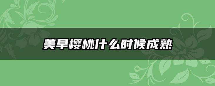 美早樱桃什么时候成熟