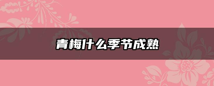 青梅什么季节成熟