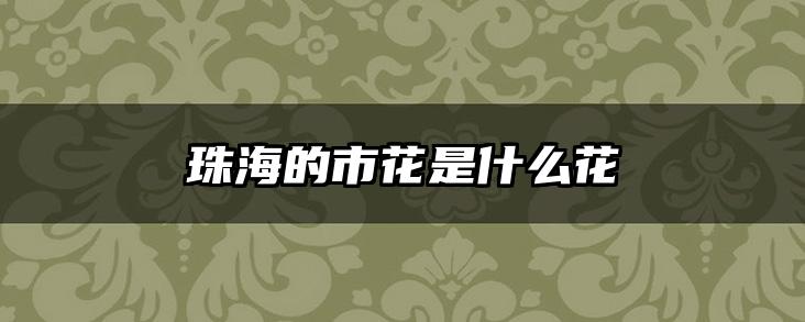 珠海的市花是什么花