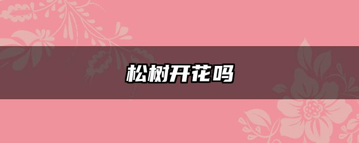 松树开花吗