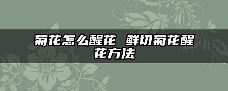菊花怎么醒花 鲜切菊花醒花方法