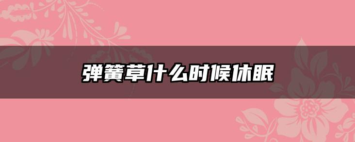 弹簧草什么时候休眠