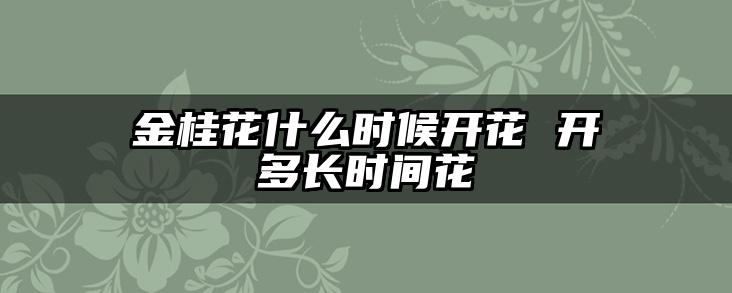 金桂花什么时候开花 开多长时间花