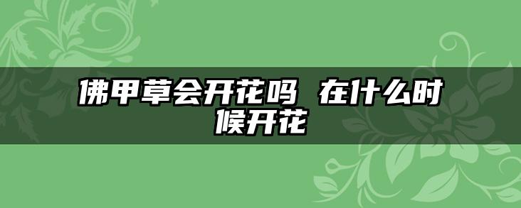 佛甲草会开花吗 在什么时候开花