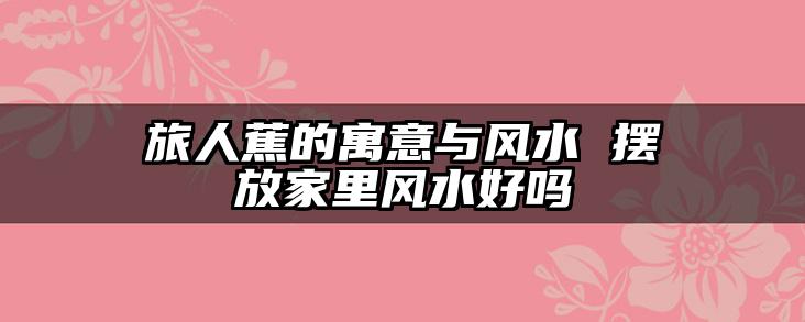 旅人蕉的寓意与风水 摆放家里风水好吗