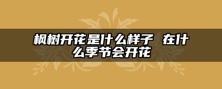 枫树开花是什么样子 在什么季节会开花