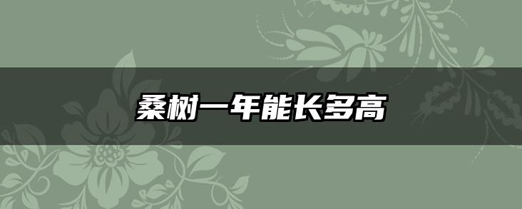 桑树一年能长多高